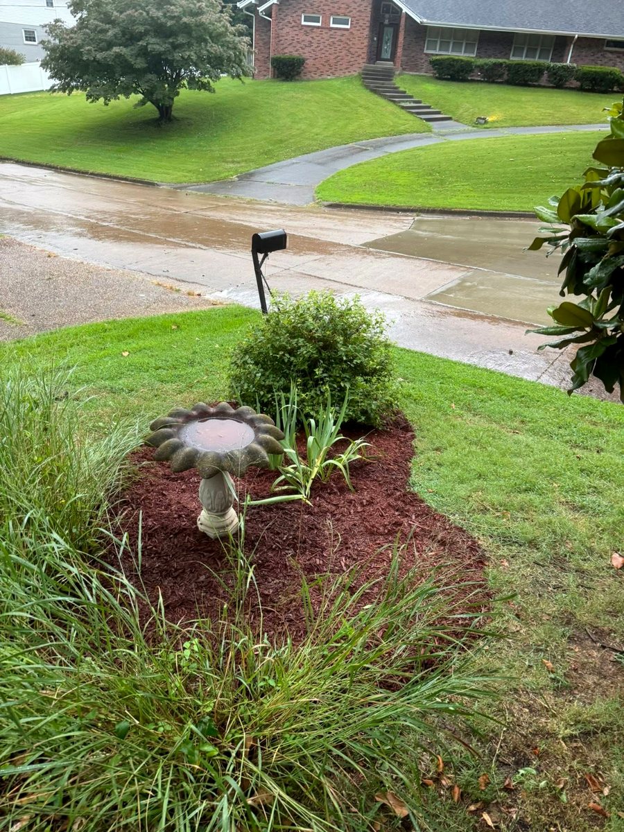 Island bed rebuilt &mdash; after