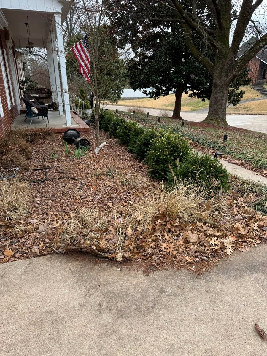 Foundation bed, spring cutback &mdash; before
