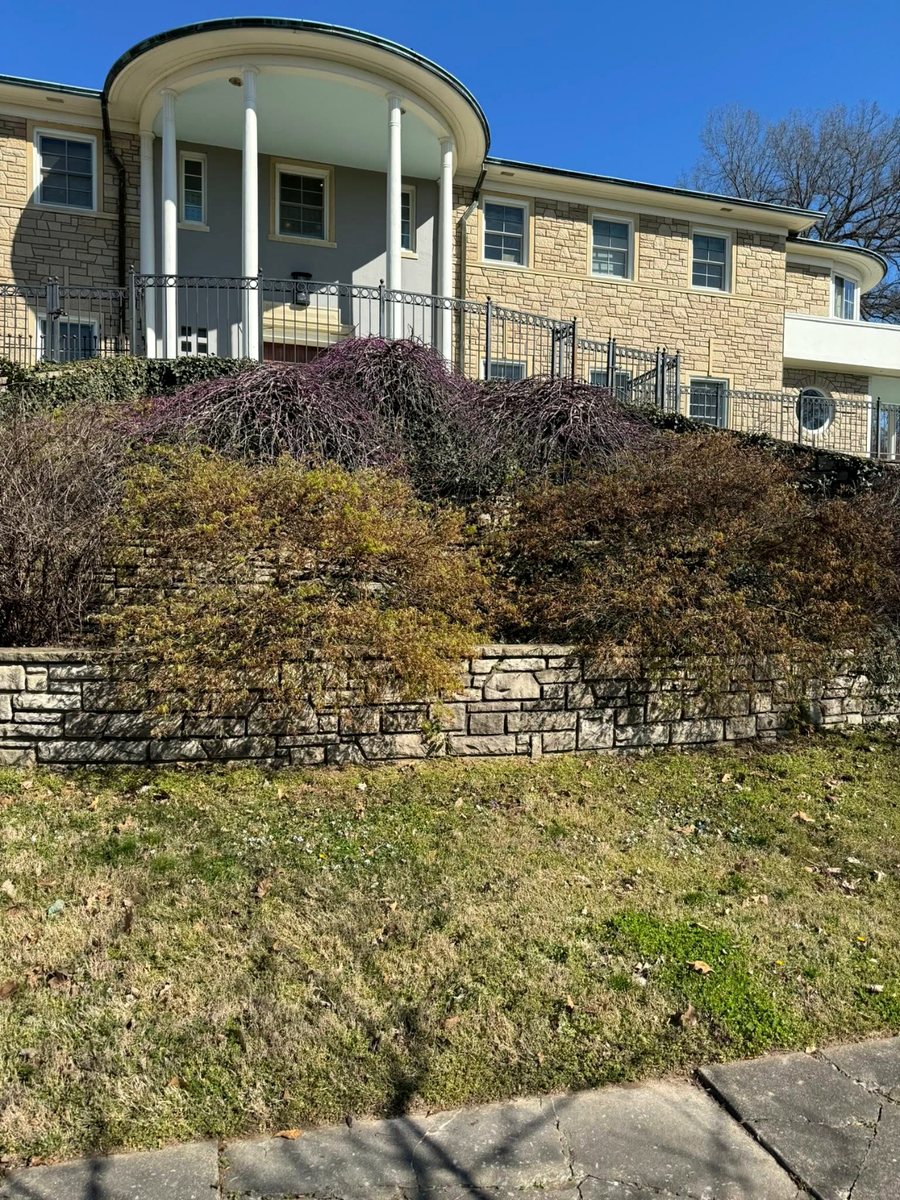 Terraced stone walls, overgrown to trimmed &mdash; before