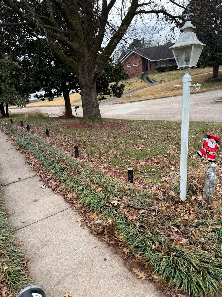 Front walk, leaf clearance &mdash; before