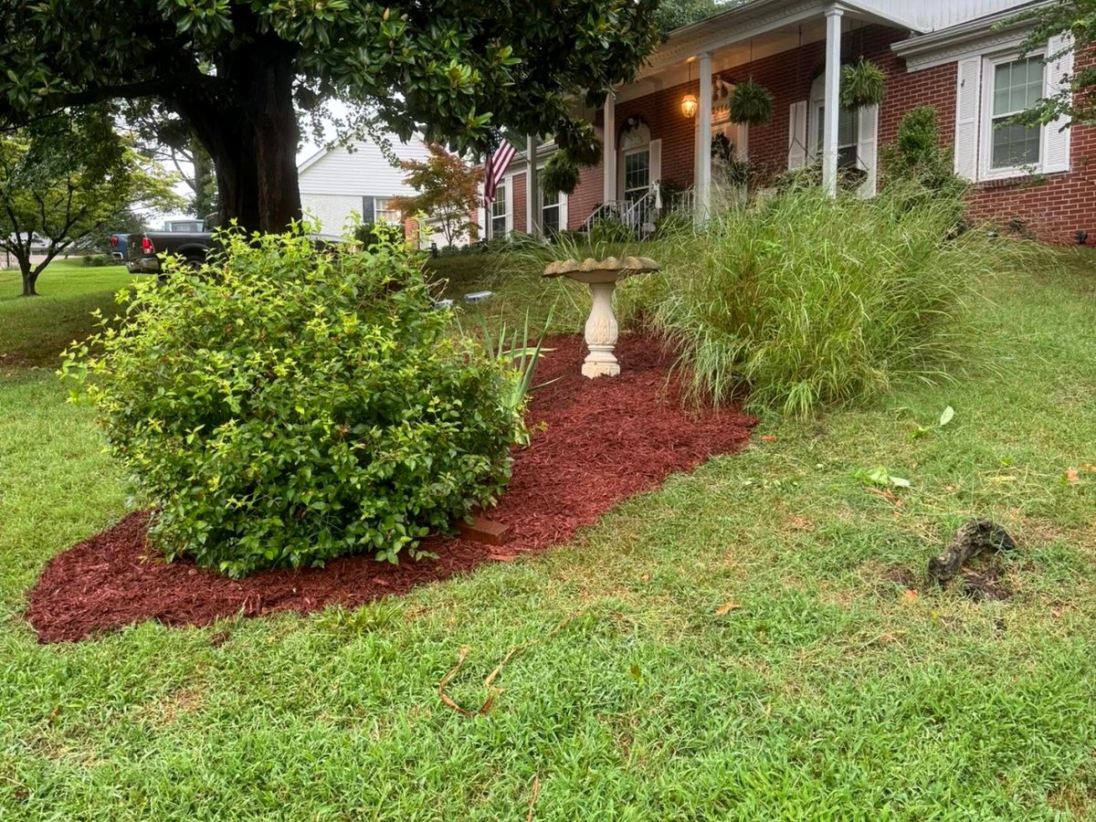 Red mulch and a cut edge &mdash; Cape Girardeau, MO